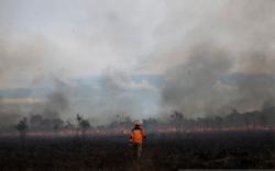 Kebakaran Lahan Kembali Terjadi di Ogan Ilir, Polisi Lakukan Penyelidikan 