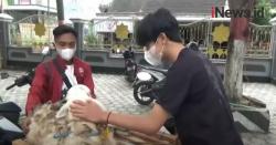 Video Menabung Setahun, Siswa SMP di Jember Beli Kambing untuk Berkurban