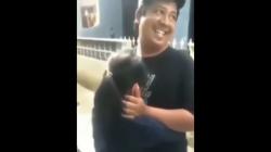 Viral, Anak Larang Ayah Ikut Potong Sapi: Entar Ketuker