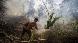 Curah Hujan Rendah, BMKG Ingatkan Kalbar Rawan Terjadi Karhutla