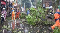 Cikole Sukabumi Paling Rawan Bencana Alam, BPBD Imbau Masyarakat Waspada