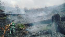 Karhutla di Aceh Tengah Hanguskan 13 Hektare Lahan Warga