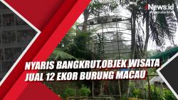 Nyaris Bangkrut, Pengelola Objek Wisata Jual 12 Ekor Burung Macau