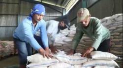 Terdampak Pandemi, Pegawai Non ASN di Solo Dapat Paket Beras 