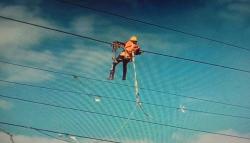 Viral, Petugas PLN Bertaruh Nyawa Bersihkan Sampah Layangan di Jalur Tegangan Tinggi
