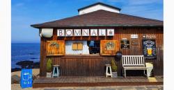 4 Kafe Paling Populer Jadi Incaran Wisatawan Dunia, Pemandangannya Pantai