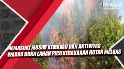 Video Memasuki Musim Kemarau dan Aktivitas Warga Buka Lahan Picu Kebakaran Hutan Meluas