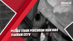 Video Pelaku Teror Pencurian Ikan Hias Terekam CCTV