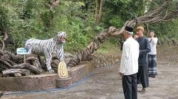 Misteri Pohon Raga Sakti di Situs Keramat Cimandung Cirebon, Dipercaya Jelmaan Naga