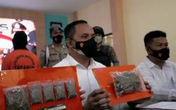 Oknum Staf DPRD NTB Ditangkap, Diduga Terlibat Jaringan Peredaran Narkoba