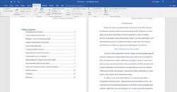 Cara Membuat Daftar Isi Otomatis di Word, MacOs, dan Web