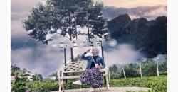 Terpikat Keindahan Kembang Langit Batang, Malam Hari Pemandangannya Cantik