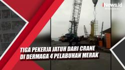 Video 3 Pekerja Jatuh dari Crane di Dermaga 4 Pelabuhan Merak