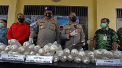 Polairud Polda Banten Gagalkan Penyelundupan Ribuan Ekor Benih Lobster