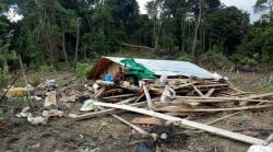 Rumah Petani di Aceh Timur Hancur Diamuk Kawanan Gajah