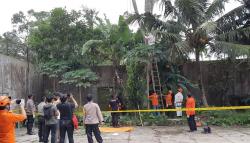 Dikira Bantal, Jasad Pemuda Tasikmalaya Ditemukan Membusuk di Atas Pohon
