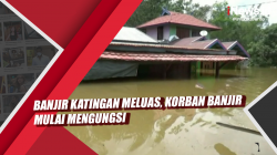 Video Banjir Katingan Meluas, Korban Banjir Mulai Mengungsi