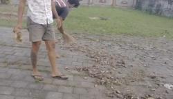 Terungkap, Ini Penyebab Ribuan Burung Pipit Mati Mendadak di Gianyar