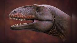 Dinosaurus Besar dengan Gigi seperti Hiu Pernah Hidup di Uzbekistan