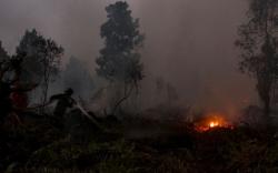 Sumsel Tetap Waspadai Karhutla hingga Akhir September 2021<