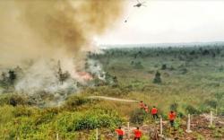 25,8 Hektare Lahan di OKU Terbakar, BPBD: Sebagian Besar Ulah Manusia