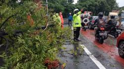 Pohon Tumbang di Jalan Raya Pondok Gede, Polisi Sibuk Atur Arus Kendaraan
