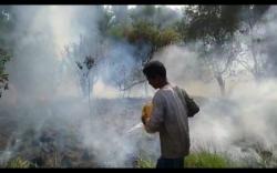 Karhutla Termasuk di Sumsel Sumbang Emisi Gas Rumah Kaca Terbesar di Indonesia<