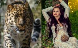 Asyik Berpose Seksi, Model Cantik Diterkam Macan Tutul<