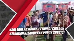 Hari Tani Nasional, Petani di Cirebon Keluhkan Kelangkaan Pupuk Subsidi