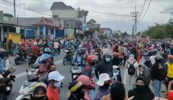 Ini Alasan Peternak Blitar Bagikan 20.000 Telur dan Ayam Gratis untuk Warga 