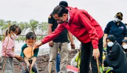 Jokowi Tegaskan Rehabilitasi Mangrove Akan Terus Dilakukan