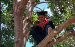 Sulit Akses Internet, Wisudawan Ini Ikut Wisuda dari Atas Pohon<