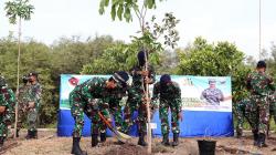 Prajurit TNI Tanam 200 Pohon Tabebuya 