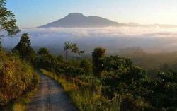 Pendaki Ditemukan Tewas di Puncak Gunung Pesagi, Proses Evakuasi Masih Berlangsung<