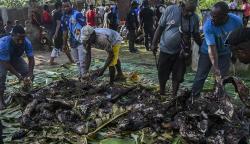 Mengenal Tradisi Bakar Batu di Papua, Ritual Memasak Suku Dani