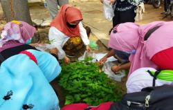 Hari Pangan Sedunia, Pemkot Pekalongan Bagikan Ratusan Bibit Cabai Gratis ke Masyarakat<