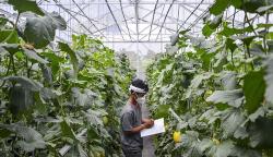Milenial Mulai Lirik Sektor Pertanian, Kementan dan Kemenparekraf Kembangkan Agroecotourism 