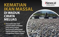 Kematian Ikan Massal di Waduk Cirata Meluas ke Purwakarta dan KBB<