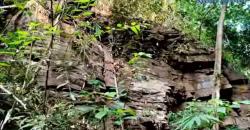 Viral, Warga Cari Kayu di Hutan Temukan Batu Tertata Rapi Mirip Candi di Gunung Anjasmoro