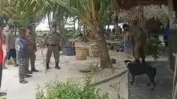 Satpol PP Diduga Aniaya Anjing hingga Mati, Begini Kata Kasatpol PP Aceh Singkil