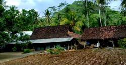 Mengintip Kehidupan Suku Jawa Asli Kampung Pedalaman Blitar yang Damai