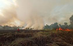 BMKG : 8 Kabupaten dan Kota di NTT Rawan Karhutla