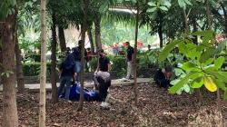 Temuan Jasad Pria di Hutan Kota Bekasi, Wajah Dipenuhi Belatung