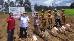 Semarakkan HPS 2021, 4 Kabupaten di Sulut Serentak Tanam dan Panen Jagung<