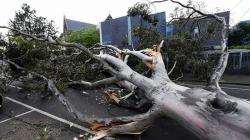 Kota Melbourne Dilanda Angin Topan, Ratusan Rumah Rusak Berat