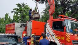Kisah Batu Peninggalan Abad 17, Bukti Kejayaan Produksi Gula di Batavia