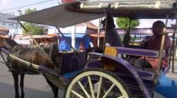 Alat Transportasi Dokar Masih Eksis di Salatiga, Begini Kata Penumpangnya  