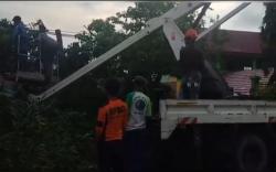 Pohon Tumbang, Jalinteng Muara Enim - Prabumulih Macet Total 
