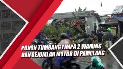 Video Pohon Tumbang Timpa 2 Warung dan Sejumlah Motor di Pamulang