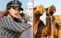  Gadis Cantik Ini Tolak Mahar 200 Ekor Unta, Bingung Mau Ditaruh di Mana
